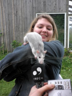 011 Rattenscharfes Schäxpirradio.JPG