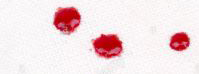 3 tropfen.JPG