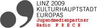 Linz2009_GrauQuer für Mikrokennung_Entwurf 1.JPG